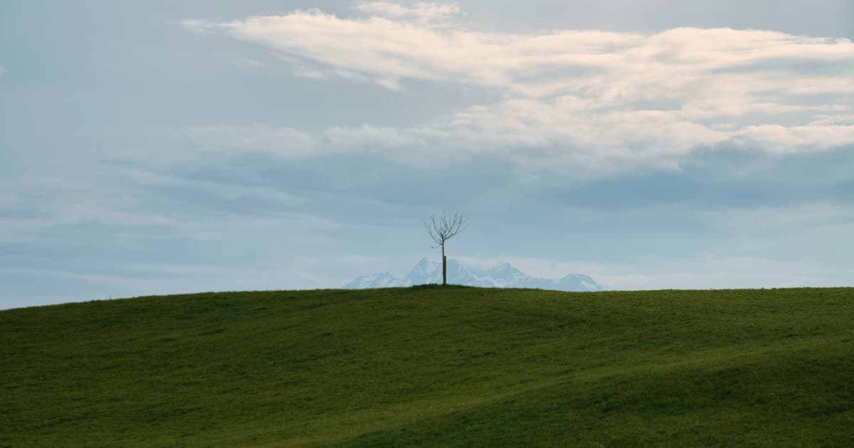 MAX Power Mining Advances Canada's First Natural Hydrogen Exploration Through University Collaboration