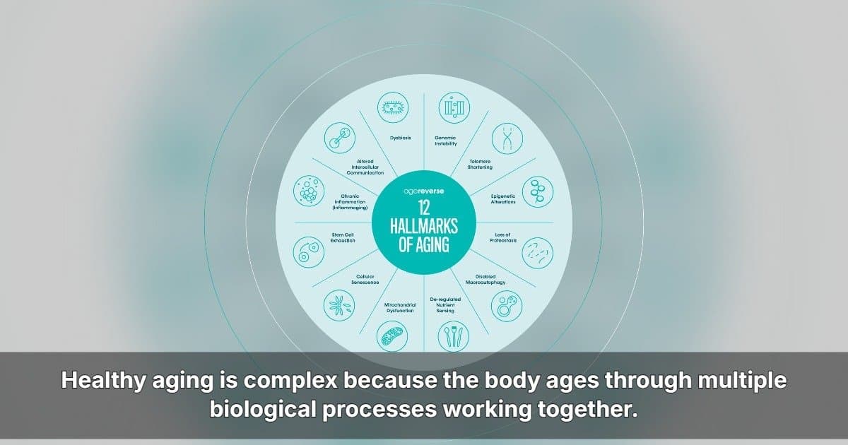 AgeReverse annonce son expansion aux États-Unis avec une approche globale du vieillissement en bonne santé